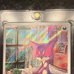 Pokemon TCG Purrloin Sv: White Flare 136/086 Illustration Rare Holo Basic - Image 3