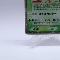 Meganium & Feraligatr ex 003/016 Holo Starter Deck Pokemon card Japanese 2005 - Image 5