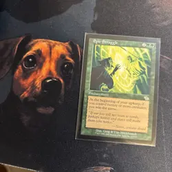 Mtg Epic Struggle - Judgment + Bonus Foils - Image 1