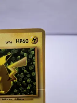 Pokemon Card Ivy Pikachu Glossy CoroCoro Promo No 025 Ken Sugimori Japanese - Image 3