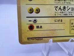 Pokemon Card Ivy Pikachu Glossy CoroCoro Promo No 025 Ken Sugimori Japanese - Image 4