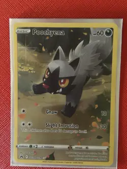 Pokemon Poochyena GG33/GG70 Crown Zenith Holo 60 HP Basic English - Image 1