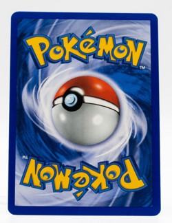 Brock's Protection Pokemon Gym Heroes 101/132 Trainer Lightly Played - Image 2