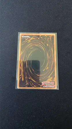 Dark Paladin DMG-001 Duel Master's Guide Limited Edition - Image 2