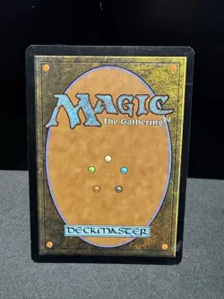 Magic The Gathering | Forest - 348/350 | FOIL | Near Mint - Image 3