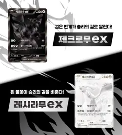 Pokemon Card Black Bolt SV11B + White Flare SV11W Booster Box Sealed Korean - Image 4