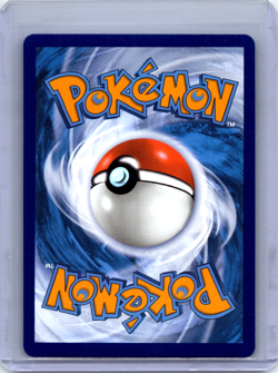 Hisuian Zororark V Black Star Promo Holo SWSH297 Pokemon Sword and Shield - Image 2