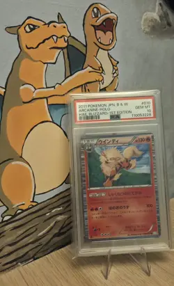 PSA 10 Arcanine Holo 010 1st Edition Hail Blizzard Pokemon Japanese - Image 3