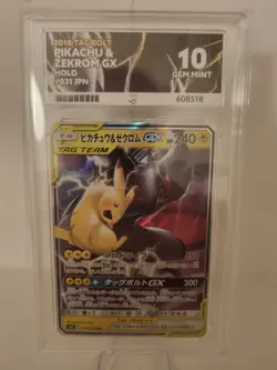 Pokemon TCG Pikachu & Zekrom GX 031/095 Japanese SM9 Tag Bolt GEM MINT ACE 10 - Image 1