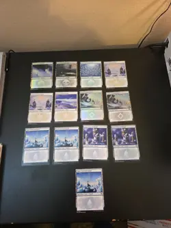 mtg snow covered lands Lot X 13 - Image 1