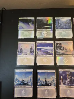 mtg snow covered lands Lot X 13 - Image 2