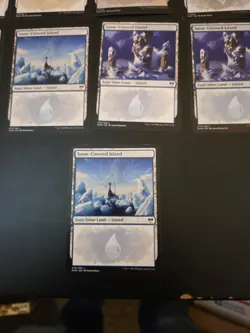 mtg snow covered lands Lot X 13 - Image 4