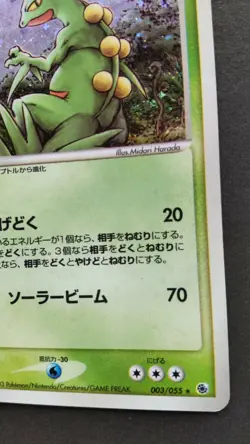 Sceptile Pokemon Card Japanese Game Nintendo Rare 003/055 Holo 2003 F/S - Image 4