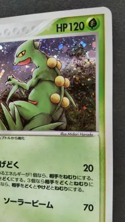Sceptile Pokemon Card Japanese Game Nintendo Rare 003/055 Holo 2003 F/S - Image 5