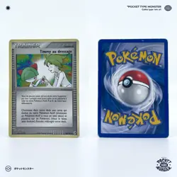 TIMMY AU DRESSAGE 89/100 Tempete de Sable Bloc EX VF FR Carte Pokemon - Image 1