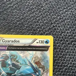 Pokemon - Gyarados - (Prerelease) - XY60 - Promo - holo - Image 4