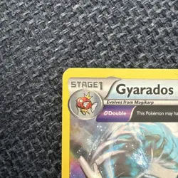 Pokemon - Gyarados - (Prerelease) - XY60 - Promo - holo - Image 5