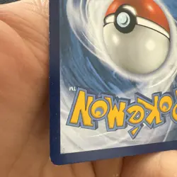 Pokemon - Gyarados - (Prerelease) - XY60 - Promo - Holo - Image 4