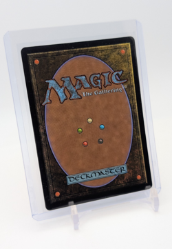 MTG - Selfless Safewright - FOIL Showcase Mythic #391 - Lorwyn Eclipsed NM - Image 2