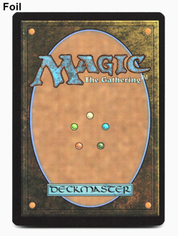 Swamp (269) - FOIL - [Secrets of Strixhaven] MTG SOS NM 💀 - Image 2
