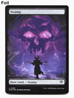 Swamp (269) - FOIL - [Secrets of Strixhaven] MTG SOS NM 💀 - Image 3