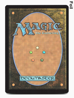 Swamp (269) - FOIL - [Secrets of Strixhaven] MTG SOS NM 💀 - Image 4