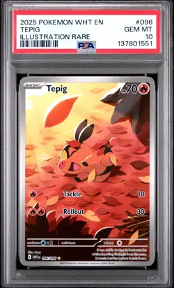 2025 POKEMON WHT EN-WHITE FLARE ILLUSTRATION RARE #096 TEPIG PSA 10 - Image 1