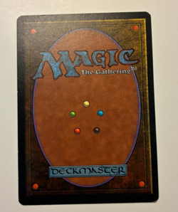 MTG Homelands Funeral March l NM common - Image 2