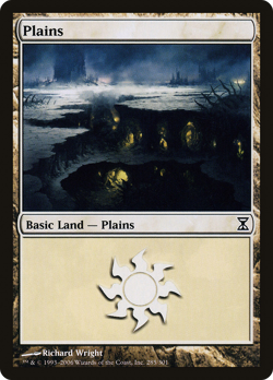 Plains (285) #285 (Foil) (MP) Time Spiral TSP Magic MTG - Image 1