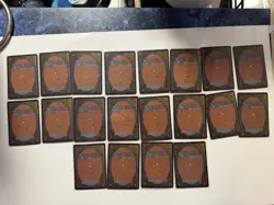 MTG-Beta Land Set-Plains, Forest, Mountain, Swamp, Island. (20) Beta Card Set - Image 2