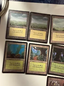MTG-Beta Land Set-Plains, Forest, Mountain, Swamp, Island. (20) Beta Card Set - Image 4