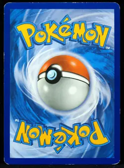 Magikarp & Wailord GX #SM166 Promo LP Pokemon Card - Image 3