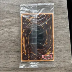 Dark Paladin Limited Edition Foil DMG-001 YU-Gi-Oh! Sealed Promo - Image 2