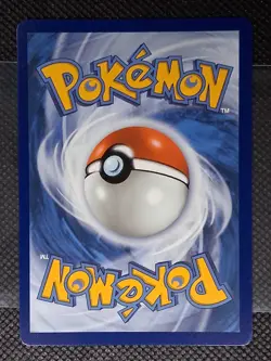 Pokemon TCG Mixed Lot Of 4 Promo Nm ( Pokemon Day 2026, MEG Promo) - Image 5