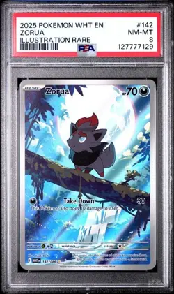 Pokemon 2025 - Zorua 142/086 - White Flare Illustration Rare - PSA 8 - Image 1