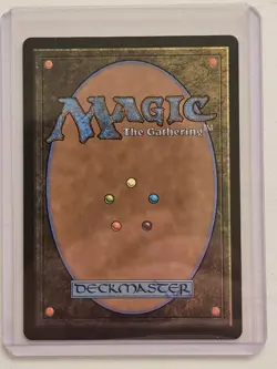 Secluded Courtyard - Extended Art SPG NM MTG - Image 2