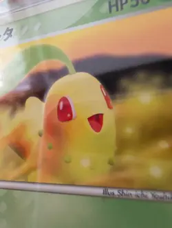 Chikorita 028/PCG-P Promo 2005 McDonald's Promo Japanese Pokemon Card MINT PSA - Image 3