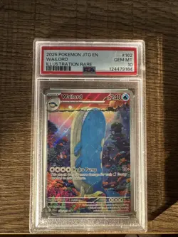 Pokemon 2025 JTG En-Journey Together 162 Wailord Illustration Rare PSA 10 - Image 1