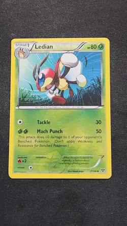 Ledian 7/146 Uncommon XY Pokemon Reverse Holo Moderately Played - Image 1