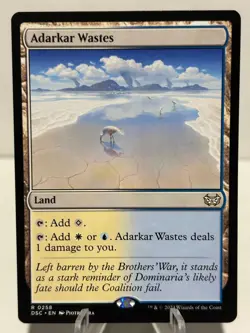 Adarkar Wastes 258 R Commander: Duskmourn: House of Horror NM MTG - Image 1