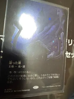 MTG Wetlands Galaxy Foil Borderless Japanese Near Mint - Image 2