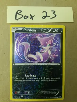 Purrloin RC13/RC25 Radiant Collection Legendary Treasures 2013 Holo Pokemon- HP - Image 1