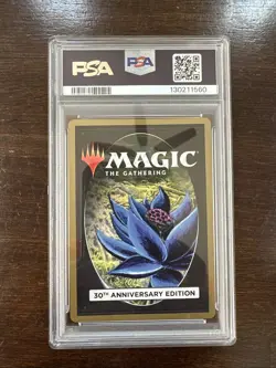 MTG 30th Anniversary Lot - Mountains Lands & Mox Ruby - Image 5
