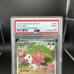 2025 Pokemon Destined Rivals Shaymin #185 IR EN Graded PSA 9 - Image 2