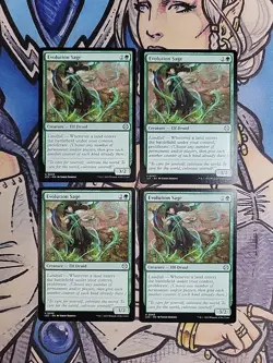 4x Evolution Sage - NM/M LCC MTG Magic - Image 1