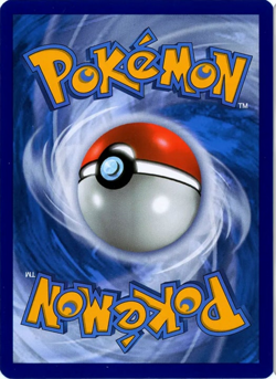 Swampert 064/264 Fusion Strike Pokemon TCG Holo Rare - Image 2