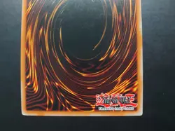 Yugioh - Elemental Hero Grand Neos CT04-EN001 Secret Rare Promo - Image 5