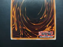 Yugioh - Elemental Hero Grand Neos CT04-EN001 Secret Rare Promo - Image 5
