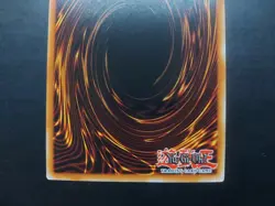 Yugioh - Frightfur Bear NECH-EN046 Ultimate Rare 1st Edition - Image 5