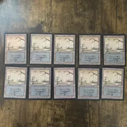 Beta Swamp X10 LEB MTG Magic The Gathering Dan Fraizer Signed Auto - Image 1